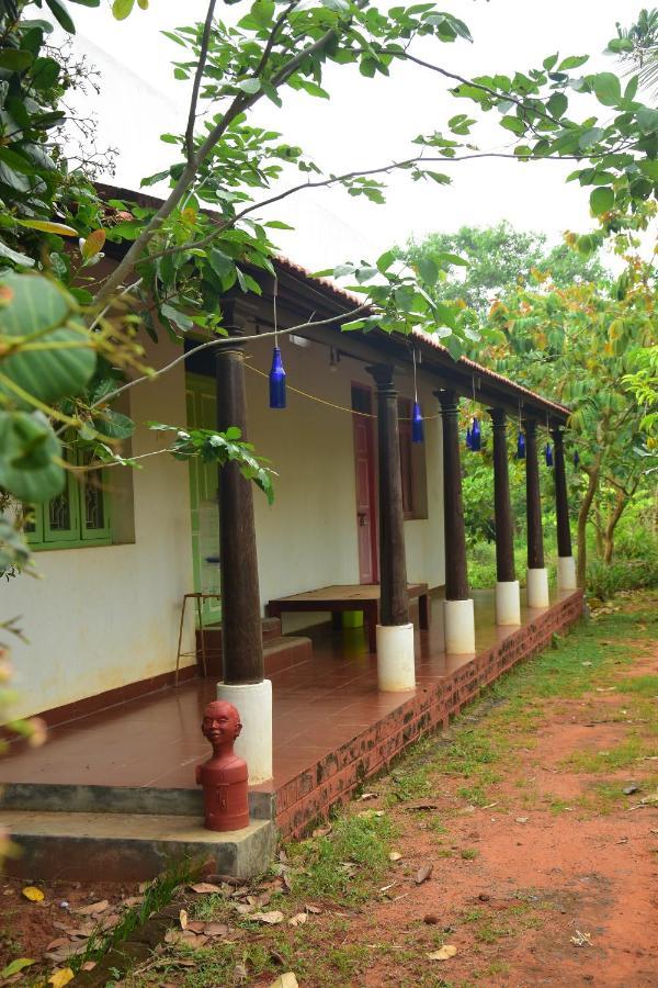 Vila Paradise Quest Nature Farmhouse Kālapettai Exteriér fotografie